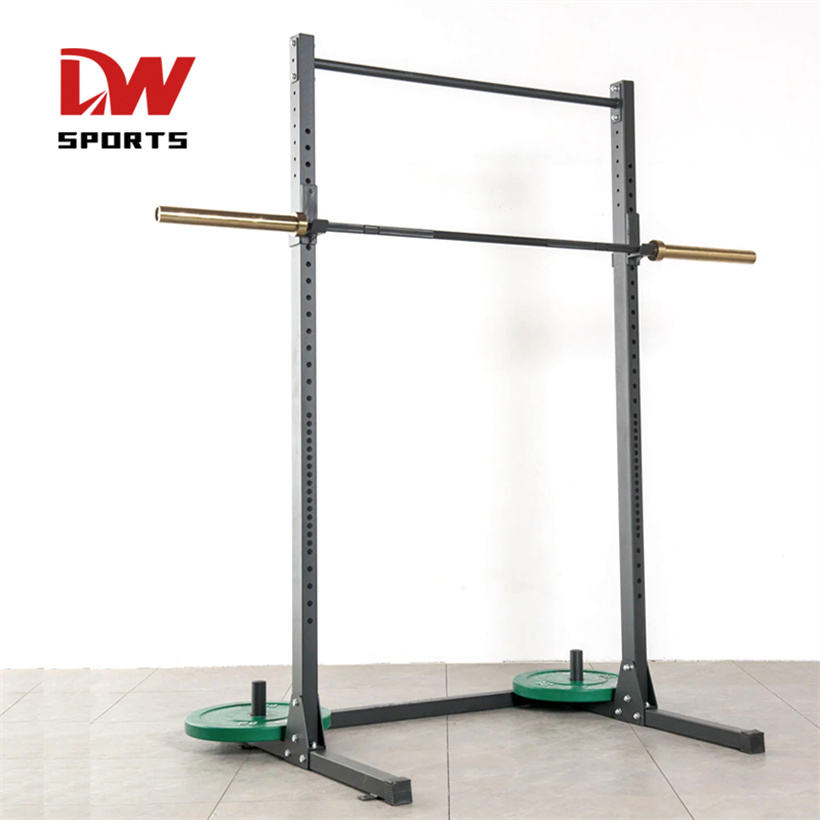 DW SPORTS FITNESS GYM EQUIPMENT CROSS FIT FOLD WALL MOUNTED SQUAT RACK